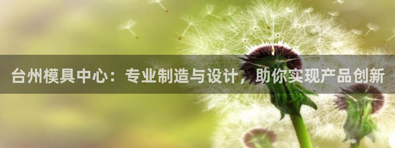 太阳集团电子游戏有限公司：台州模具中心：专业制造与设计，助你实现产品创新