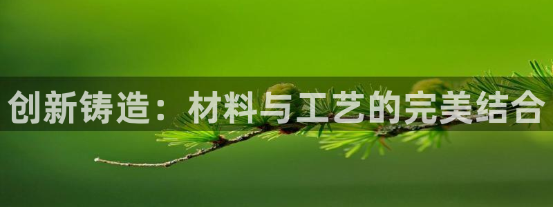 太阳诚集团在线：创新铸造：材料与工艺的完美结合