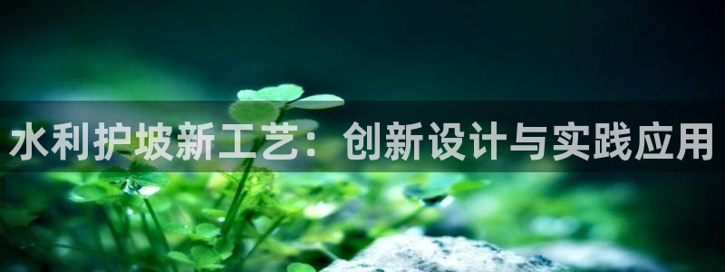 太阳集团游戏网址：水利护坡新工艺：创新设计与实践应用