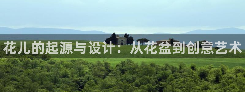 太阳地产老板：花儿的起源与设计：从花盆到创意艺术