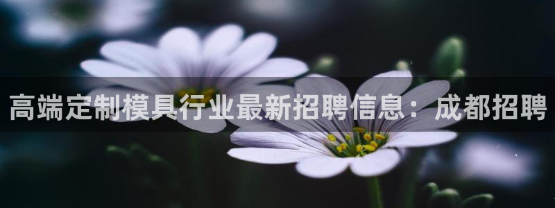 太阳集团手机app：高端定制模具行业最新招聘信息：成都招聘