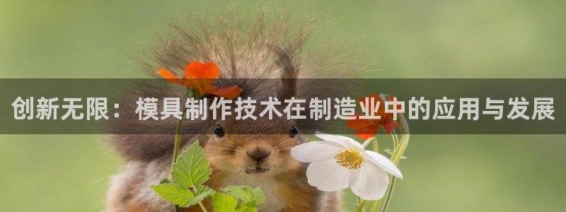 澳门太阳成城集团洗米华：创新无限：模具制作技术在制造业中的应用与发展