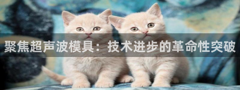 太阳集团股份有限公司招聘：聚焦超声波模具：技术进步的革命性突破