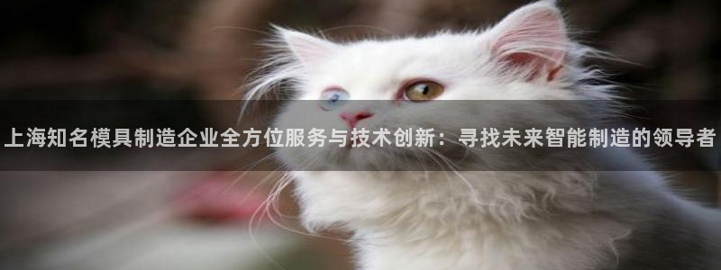 太阳集团所有网址16877官网