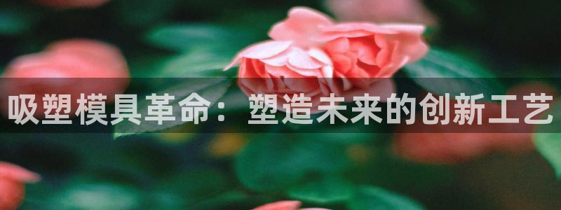 太阳集团是什么平台?：吸塑模具革命：塑造未来的创新工艺