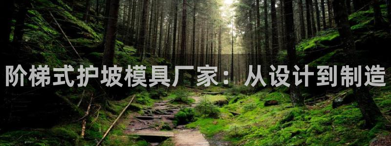 太阳gg官方网站：阶梯式护坡模具厂家：从设计到制造