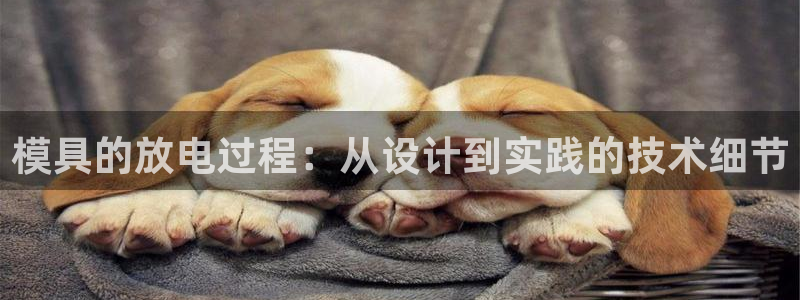 太阳gg登录：模具的放电过程：从设计到实践的技术细节