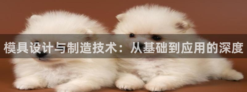 太阳集团网站入口官网：模具设计与制造技术：从基础到应用的深度