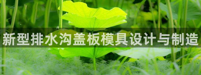 太阳成集团tyc234cc[主页]：新型排水沟盖板模具设计与