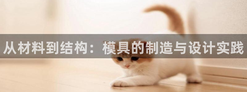 太阳诚集团有限公司地址：从材料到结构：模具的制造与设计实践